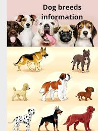 La Guía Completa de Razas Caninas