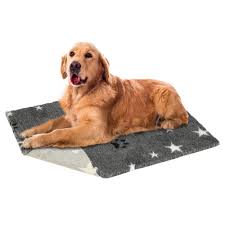 Cama Antideslizante Vetbed para Perros Medianos - Gris