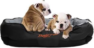 Cama Antiestrés Mediana para Perros BingoPaw