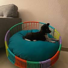 Casa Forja: Bienestar para Nuestras Mascotas