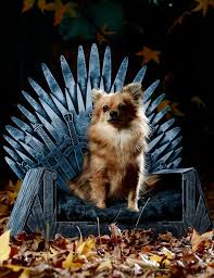 Cama para Perros Pica Ice Throne
