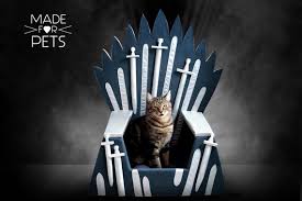 Trono de Hierro: Cama Ideal para Gatos