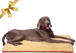 Colchoneta Vivi Bear para Perros 110 x 70 cm