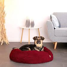 Cama Yuma Spazio para Perros Medianos y Pequeños