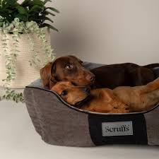 Cama Scruffs Chester Box S Grafito 50x40 cm