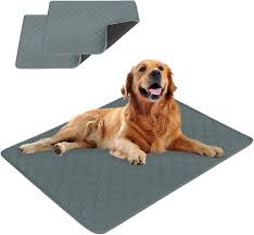 Empapadores para Perros Eastlion: Almohadillas de Entrenamiento