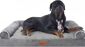 Cama XXL para Perros: Confort y Lavabilidad