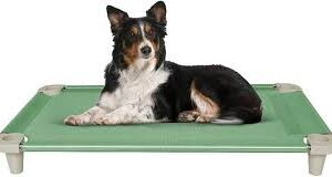 Cama Elevada para Mascotas Acrimet - Malla Lavable