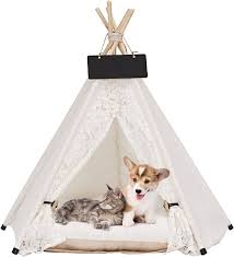 Tiendas Tipi para Mascotas ANPI: Comodidad y Estilo