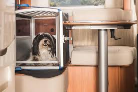 Viaja con tu Perro: Accesorios para Autocaravanas