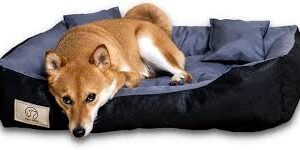 Cama Antialérgica y Resistente al Agua para Perros M y L - Gris/Negro