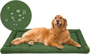 Camita Exterior Impermeable para Perros Miguel