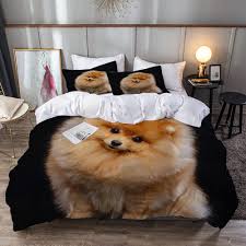 Ropa de Cama: Tierno Pomerania con Cabeza Inclinada