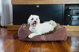 Cama Ortopédica Premium BoutiqueZOO para Perro - Tamaño M