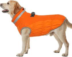 Hjumarayan Abrigo Impermeable para Perros Grandes