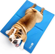 Petic: Alfombrilla Refrigerante para Perros Grandes
