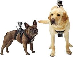 OYiRY Arnés Deportivo para Perros