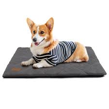 Cama para Perros Somiya: Confort y Estilo