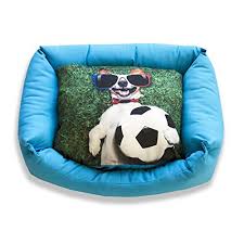 DAGOSTINO HOME - Cama Tridimensional para Mascotas Champions