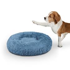 Cama Turquesa XL para Mascotas Bestlivings 70 cm