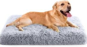 Cama Extra Grande para Mascotas PETCUTE