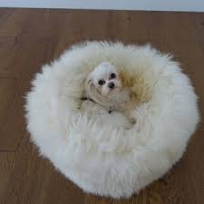 Cama de Lana de Oveja para Mascotas