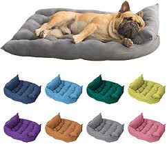 Cama Ortopédica de Espuma para Perros