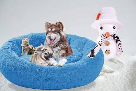 Cama Ortomédica Suave para Perros Extra Grande