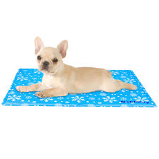 Cama Refrescante para Perros Grandes - Nepfaivy Verano