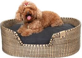 Cama MISSLOTO para Perros y Gatos Medianos