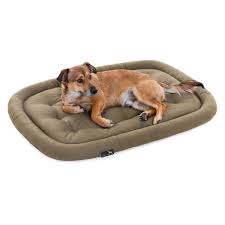 Cojín Ortopédico Pointer para Mascotas - Lavable y Ajustable