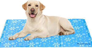 Cama Refrescante para Perros Grandes - Nepfaivy