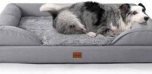 Cama Ortopédica Gimars para Perros Grandes - 9