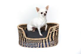 Cama MISSLOTO para Perros Pequeños