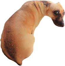 Realista Wisoolkic para Amantes de Perros