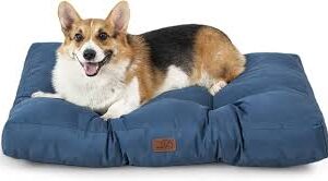 Colchón Impermeable para Perro Mediano - Azul Oscuro