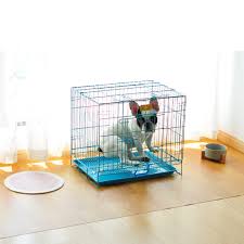 Alfombra Multifuncional para Mascotas