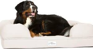 Cama Impermeable de Espuma Viscoelástica para Perros PetFusion