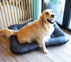 Cama de Perro Grande Textil Ella - Grafito M a XL