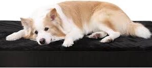 Cama Ortopédica Extra Grande para Perros KSIIA 105x70