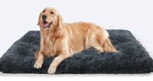 Cama Grande para Perro Desenfundable y Lavable