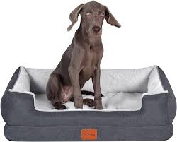 Cama Grande para Perro con Forro Impermeable y Espuma de Soporte