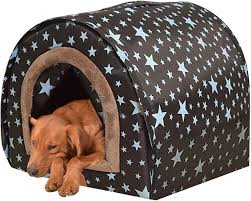 Refugio Invernal para Perros