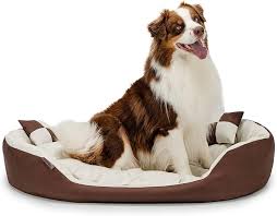 Cama 4 en 1 para Perros Lionto