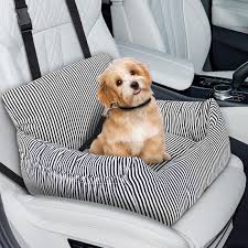 Asiento Seguro para Perros Pequeños en el Coche