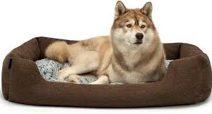 Cama Reversible para Perro Lionto 110x80 cm