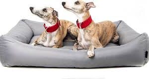 Cama Grande para Perros Otto 4L con Cojín