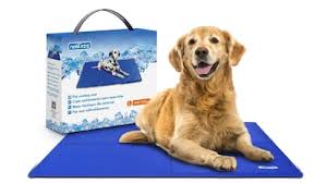 Top Camas de Gel Refrescantes para Perros