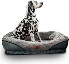 Cama Ortopédica XL para Perros Grandes PRIME DOG