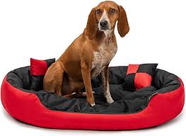 Cama 4 en 1 para Perros Lionto